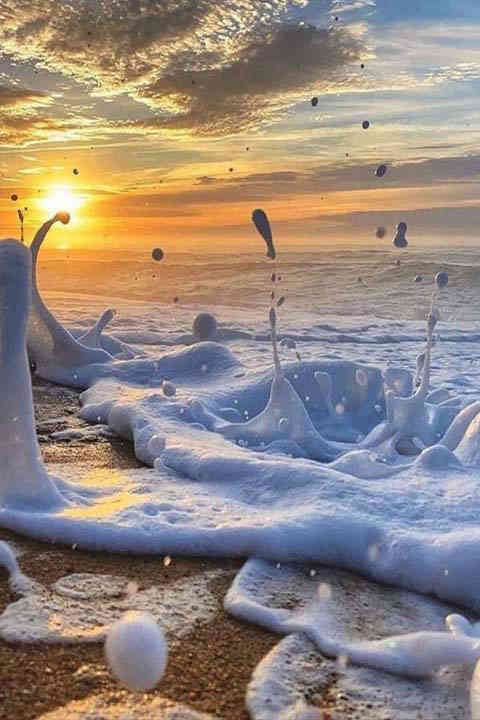 480x720 CAT A PROPOS VAISSEAU DE LUMIERE 19 2 Articles 1 Vaisseauxdelumieres.com