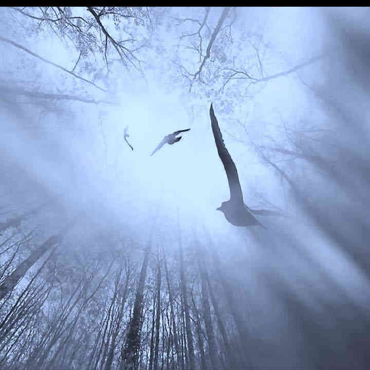 720x720 CAT A PROPOS 19 3 Articles 1 Vaisseauxdelumieres.com