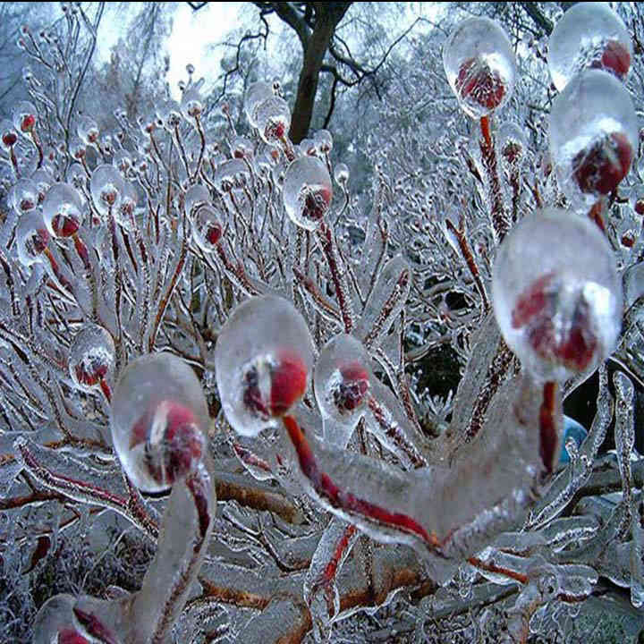 720x720 CAT ENSEIGNEMENTS RECUS 22 2 Articles 1 Vaisseauxdelumieres.com