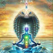 720x720 CAT SOUS BLOC fonction chakra 32 1 Articles 1 Vaisseauxdelumieres.com